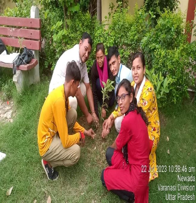 Plantation activity